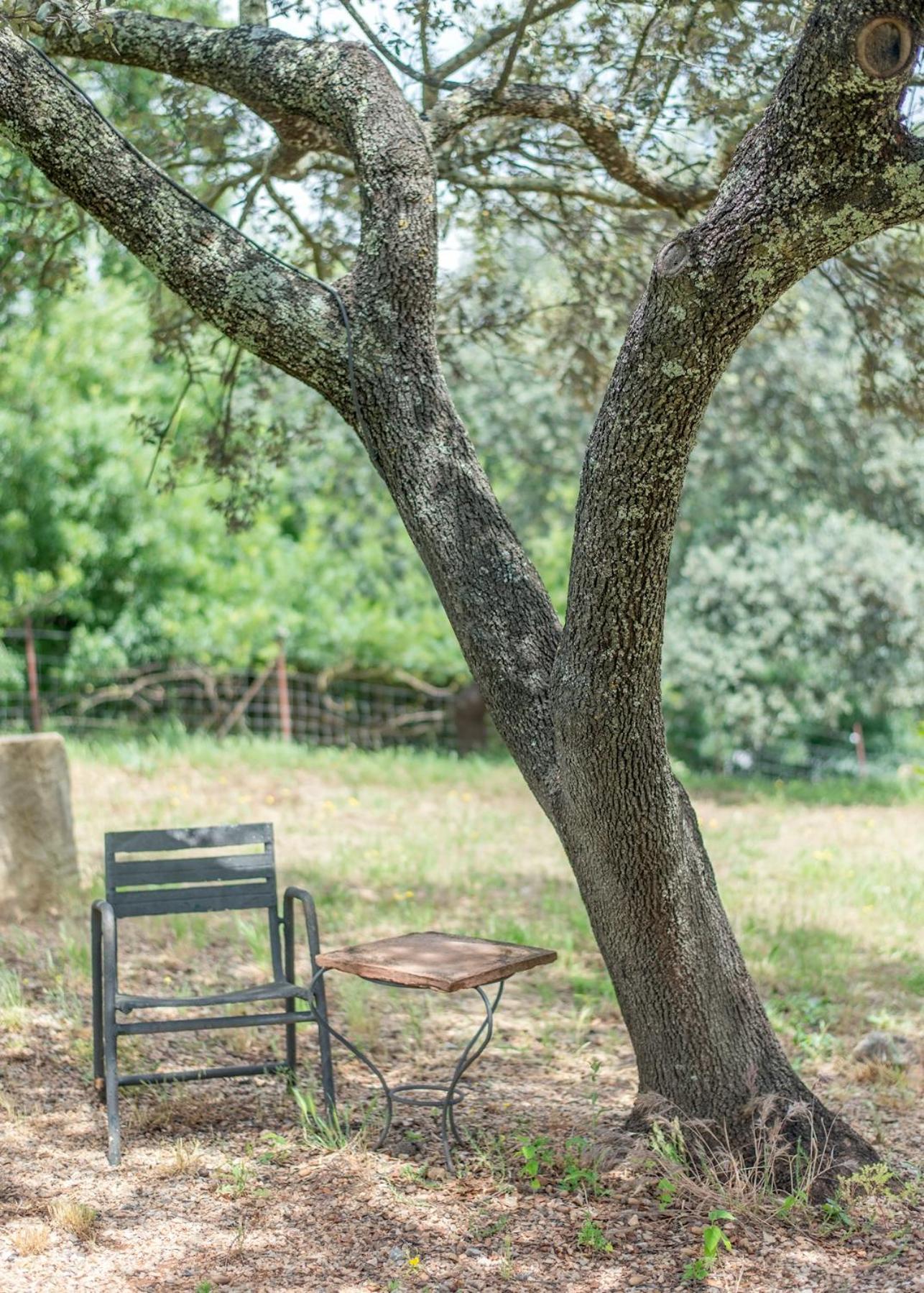 منزل الضيف إل بيدروسو  في La Umbria De La Ribera المظهر الخارجي الصورة